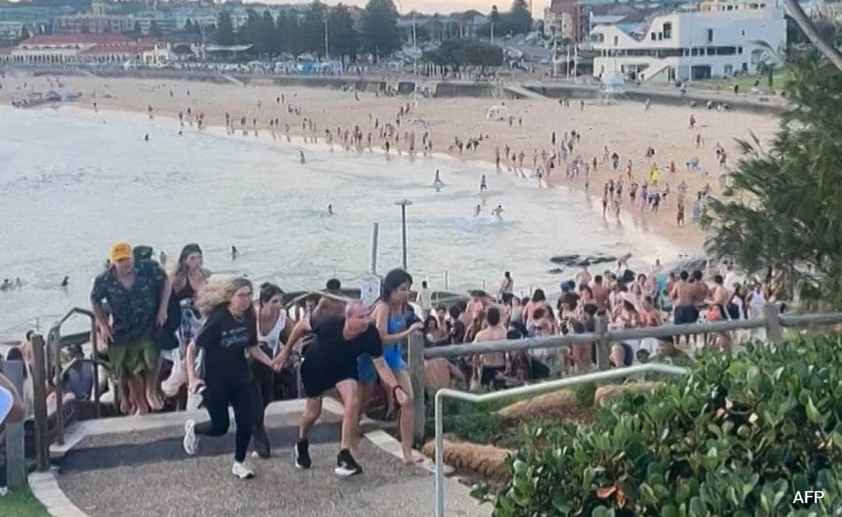 Terror on the Tide, 15 Killed as Father and Son Open Fire at Bondi Beach